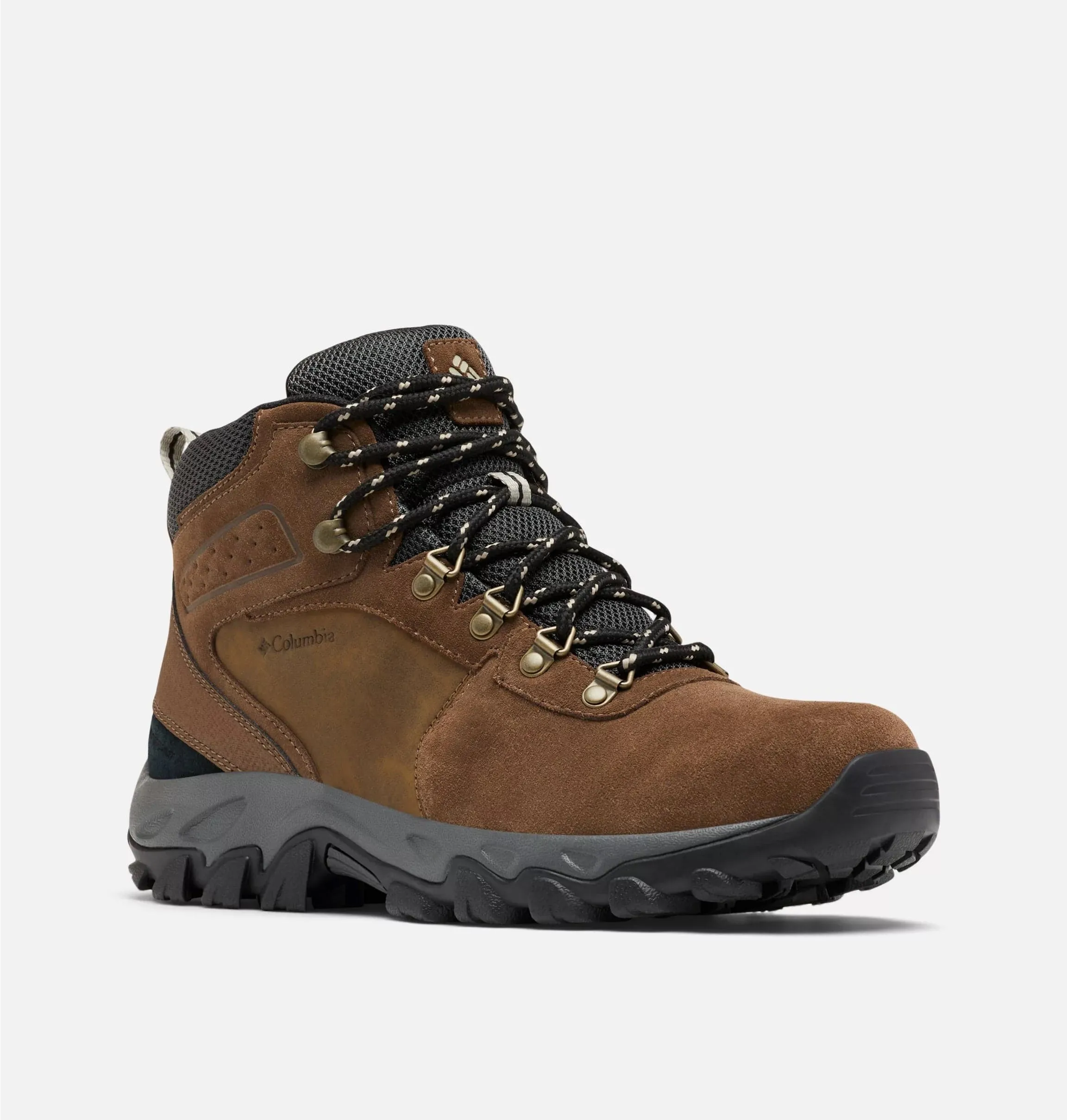 Newton Ridge™ Plus II Suede WP